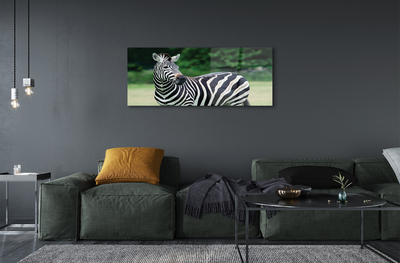 Glas schilderij Zebra-veld