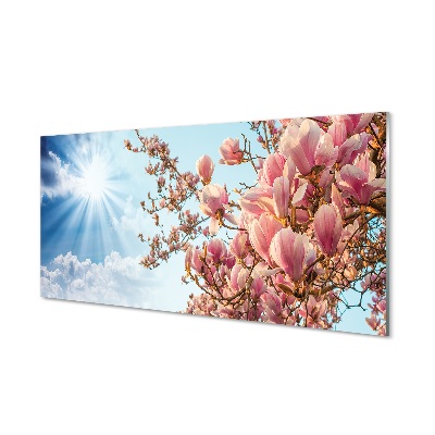 Glas schilderij Magnolia sky sun