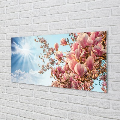 Glas schilderij Magnolia sky sun