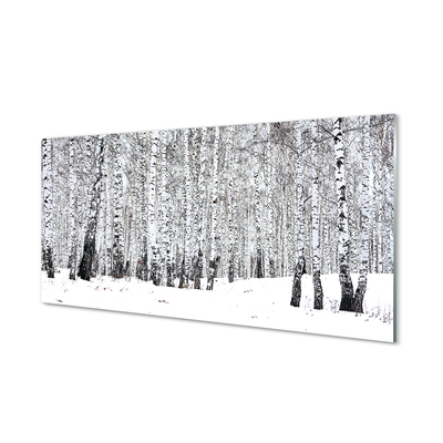 Glas schilderij Bomen winter snow birches
