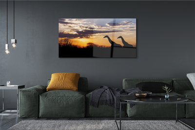 Schilderij op glas Giraffe-bomenwolken