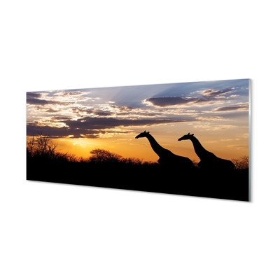 Schilderij op glas Giraffe-bomenwolken