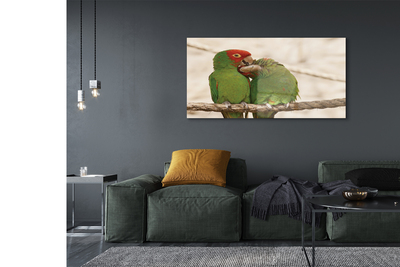 Foto op glas Groene papegaai