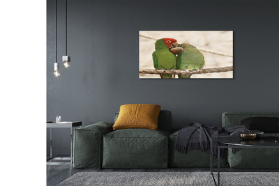 Foto op glas Groene papegaai