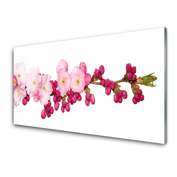 Foto op glas Cherry blossom twig