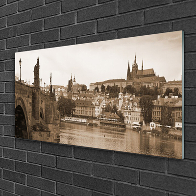 Foto op glas Praag landschap van de brug