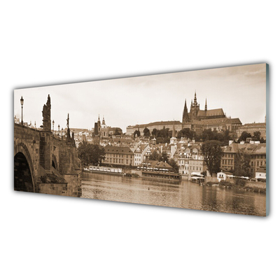 Foto op glas Praag landschap van de brug