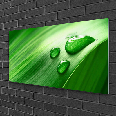 Foto op glas Leaf water drops