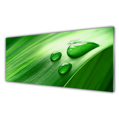Foto op glas Leaf water drops