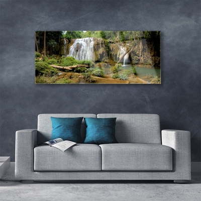 Foto op glas Waterval river forest nature