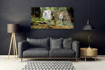 Foto op glas Waterval river forest nature
