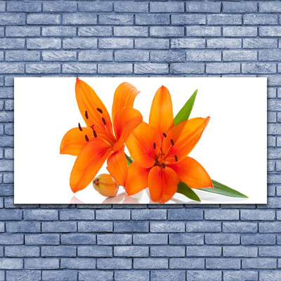 Foto op glas Oranje bloemen van de installatie