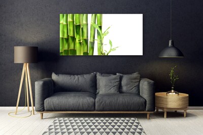 Foto op glas Bamboe plant