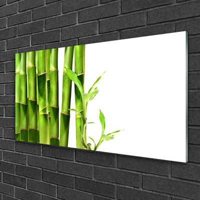 Foto op glas Bamboe plant