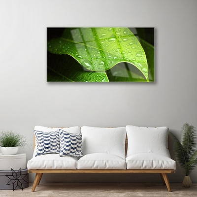 Foto op glas Dauwdalingen leaf