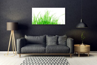 Foto op glas Grasinstallatie