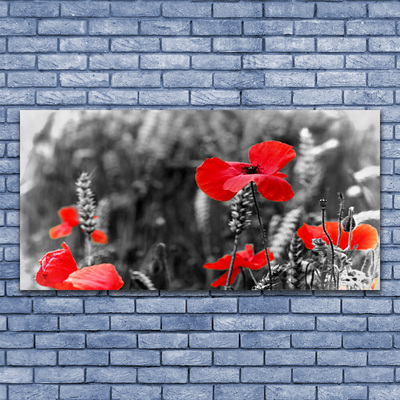 Foto op glas Poppies on the wall