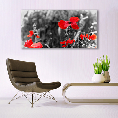 Foto op glas Poppies on the wall