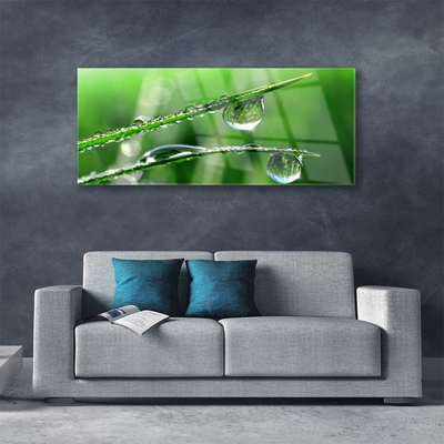 Foto op glas Grass dew drops