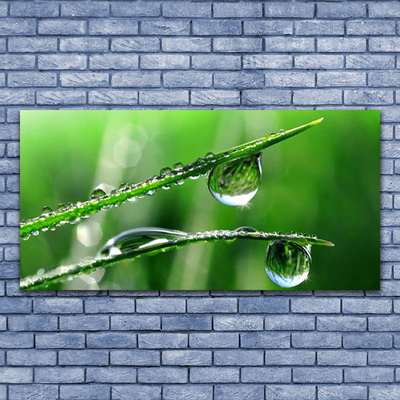 Foto op glas Grass dew drops