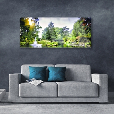 Foto op glas Nature zon bos waterval