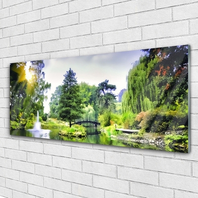 Foto op glas Nature zon bos waterval