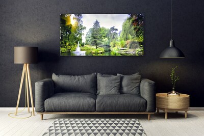 Foto op glas Nature zon bos waterval