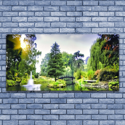 Foto op glas Nature zon bos waterval