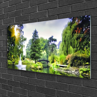 Foto op glas Nature zon bos waterval