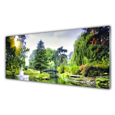 Foto op glas Nature zon bos waterval