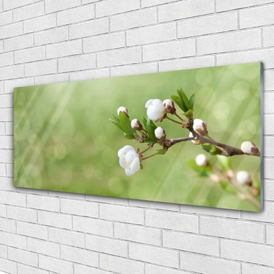 Foto op glas Flowers on the wall