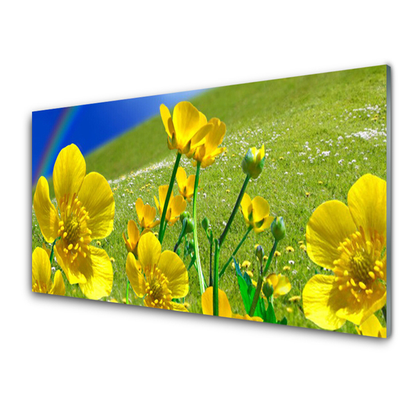 Foto op glas Rainbow meadow bloemen nature