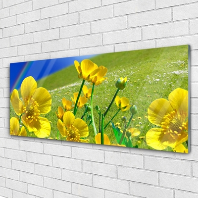 Foto op glas Rainbow meadow bloemen nature