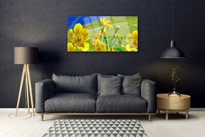 Foto op glas Rainbow meadow bloemen nature