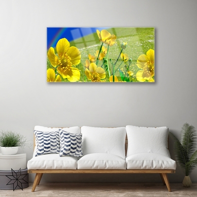 Foto op glas Rainbow meadow bloemen nature