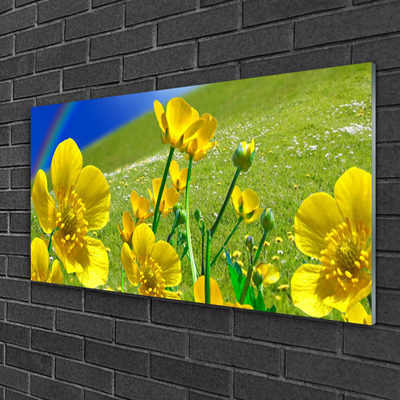 Foto op glas Rainbow meadow bloemen nature