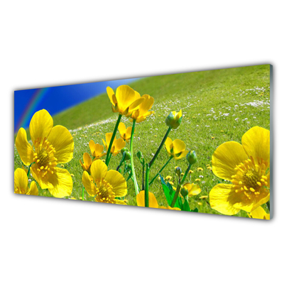 Foto op glas Rainbow meadow bloemen nature