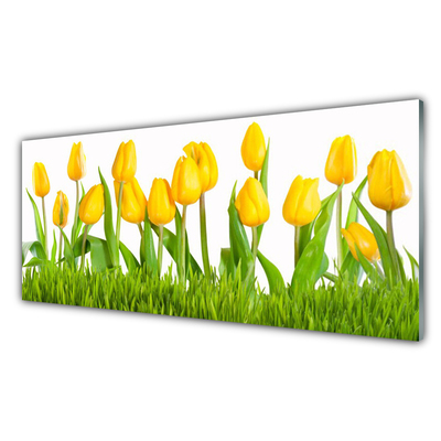 Foto op glas Tulpen op muur