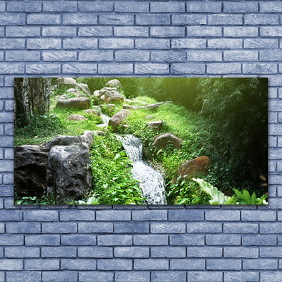 Foto op glas Stroom grass nature plant