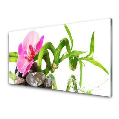 Foto op glas Natuur bloem plant