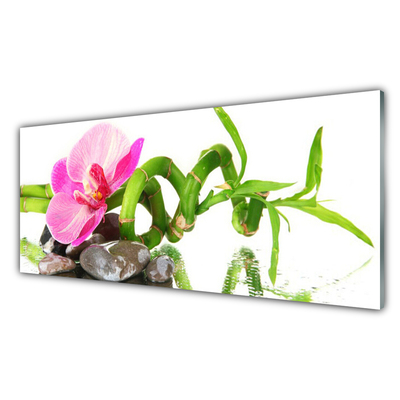 Foto op glas Natuur bloem plant