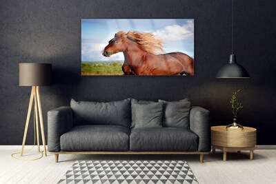 Foto op glas Horse dieren