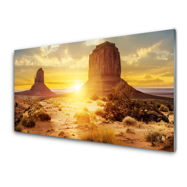 Foto op glas Desert sun landschap