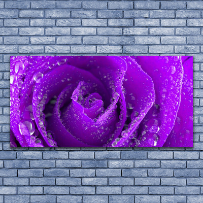 Glas schilderij Rose flower plant