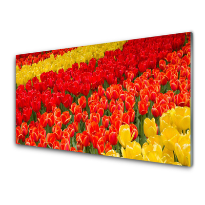 Glas schilderij Tulpen bloemen