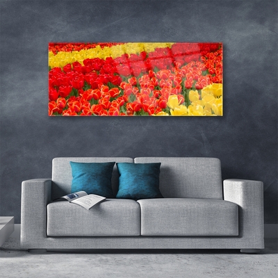 Glas schilderij Tulpen bloemen