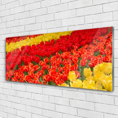 Glas schilderij Tulpen bloemen