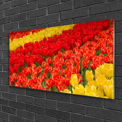 Glas schilderij Tulpen bloemen