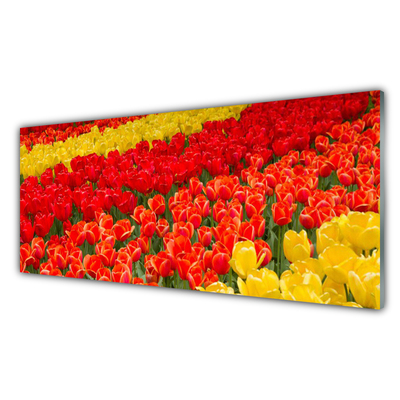 Glas schilderij Tulpen bloemen