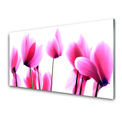 Glas schilderij Bloemen planten